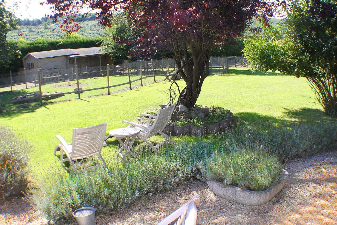 Comme A La Ferme Bed & Breakfast Durbuy Dış mekan fotoğraf